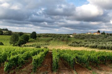 vin doux naturel